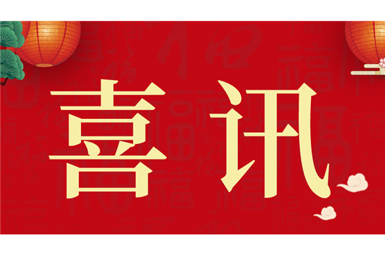 喜讯！热烈祝贺公司接连斩获多项荣誉